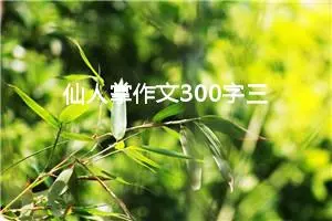 仙人掌作文300字三年级（精选10篇）