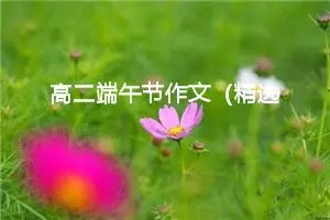 高二端午节作文（精选10篇）