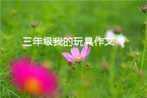 三年级我的玩具作文（精选10篇）