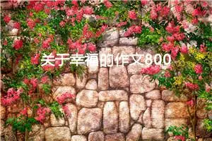 关于幸福的作文800字高中（精选10篇）