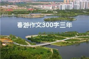 春游作文300字三年级（精选20篇）