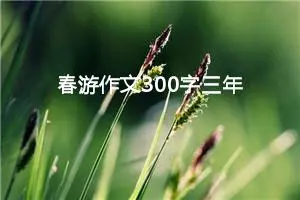 春游作文300字三年级（精选10篇）