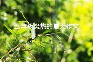 五年级炎热的夏天作文（精选10篇）