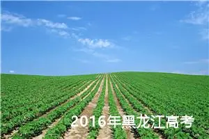 2016年黑龙江高考满分作文：语文，祖国的灵魂