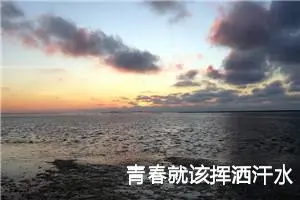 青春就该挥洒汗水