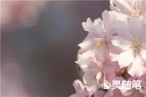 心灵随笔