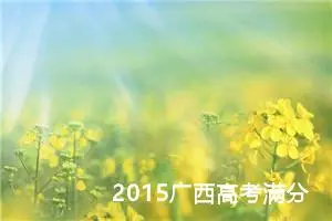 2015广西高考满分作文：实现自己的风采