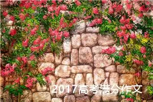 2017高考满分作文：人生的站口