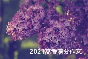 2021高考满分作文：文明礼仪伴我行