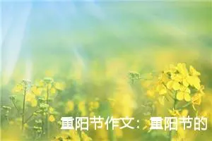 重阳节作文：重阳节的故事