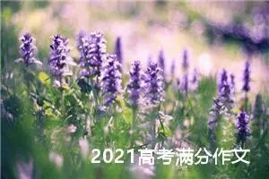 2021高考满分作文：​心向作为