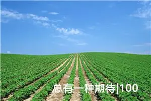 总有一种期待|1000字优秀作文