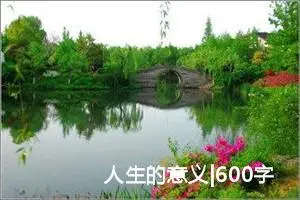 人生的意义|600字优秀作文