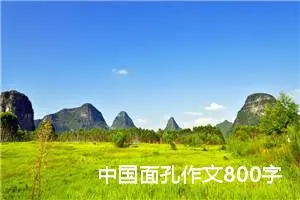 中国面孔作文800字 -我的个人资料