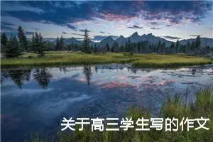 关于高三学生写的作文题目及范文 -我的个人资料