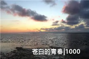 苍白的青春|1000字优秀作文