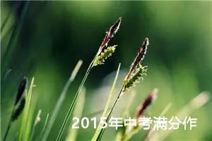 2015年中考满分作文：走过十五岁的花季