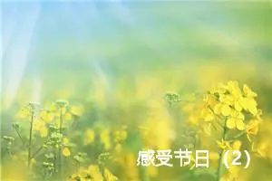 感受节日（2）