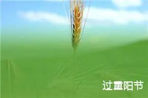 过重阳节