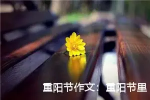 重阳节作文：重阳节里说愿望