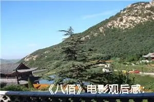 《八佰》电影观后感：致敬英雄