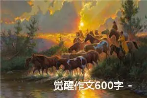 觉醒作文600字 -我的个人资料