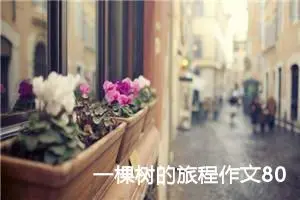 一棵树的旅程作文800字 -我的个人资料