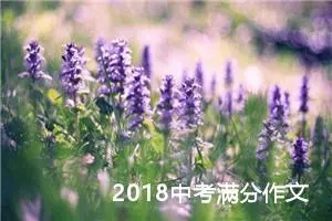 2018中考满分作文：最美的风景