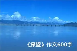 《探望》作文600字