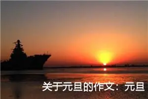 关于元旦的作文：元旦联欢会