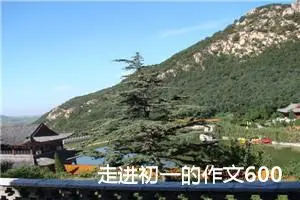 走进初一的作文600字记叙文 -我的个人资料