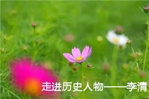 走进历史人物——李清照|700字优秀作文