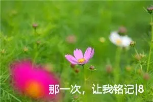 那一次，让我铭记|800字优秀作文