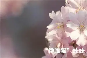 “馋嘴猫”妹妹