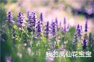 我的凤仙花宝宝