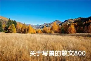 关于写景的散文800字高中（精选10篇）