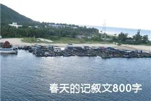 春天的记叙文800字高中（精选10篇）