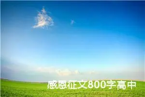 感恩征文800字高中生（精选10篇）