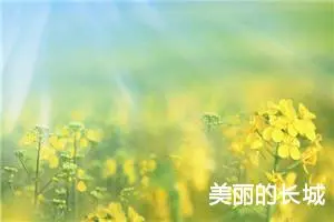 美丽的长城