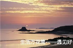 生活万花筒——遇见好朋友海豚 -我的个人资料