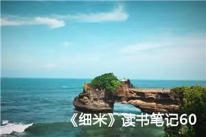 《细米》读书笔记600字