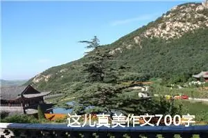 这儿真美作文700字——银子岩 -我的个人资料