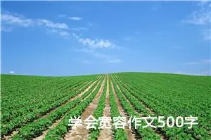 学会宽容作文500字五年级 -我的个人资料