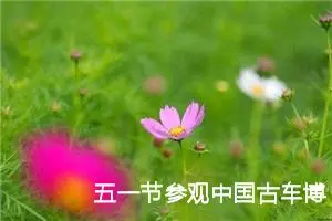 五一节参观中国古车博物馆