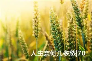 人生奈何几多愁|700字优秀作文