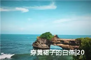 穿黄裙子的白燕|200字优秀作文