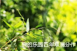 我的乐园四年级满分作文400字 -我的个人资料