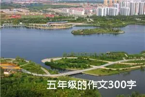 五年级的作文300字 -我的个人资料