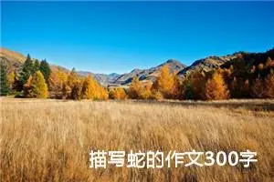 描写蛇的作文300字 -我的个人资料