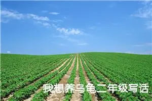 我想养乌龟二年级写话 -我的个人资料